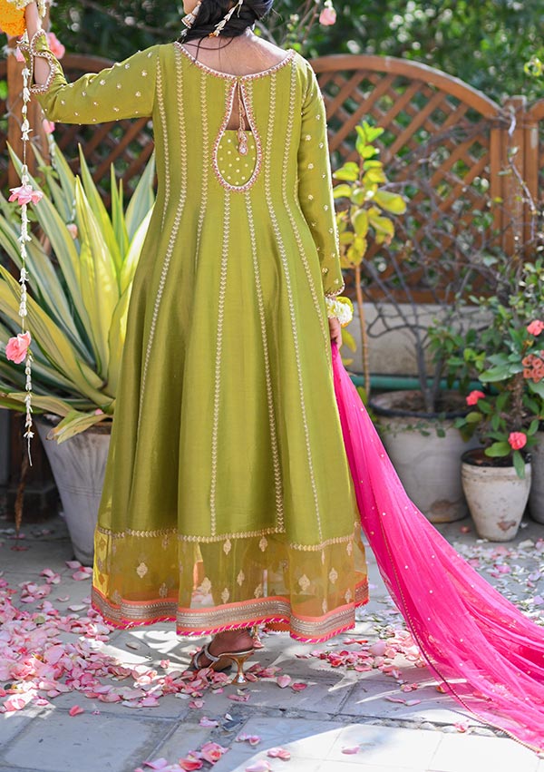 Inaya-Image-One